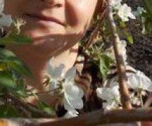 Rozmowy o seksie - ogłoszenie towarzyskie użytkownika mollym