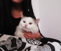 Inne - ogłoszenie towarzyskie użytkownika Kicia27